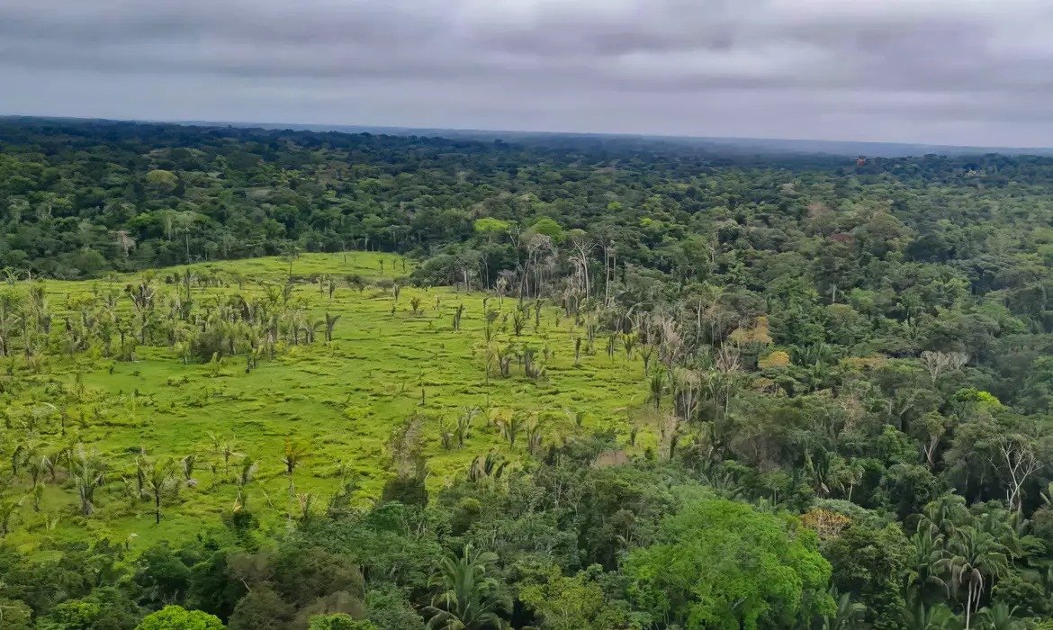 Amazônia tem menor desmatamento em 11 anos